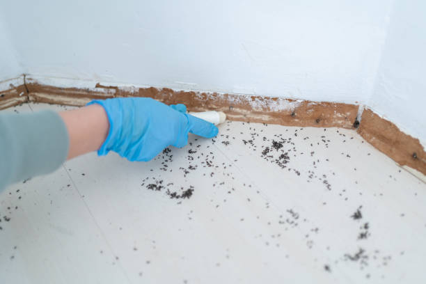 Best Residential Pest Control  in Leawood, KS